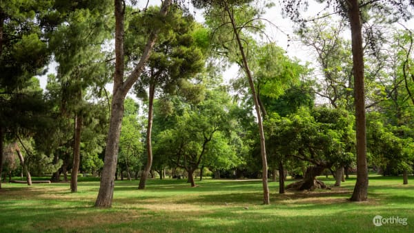 Natura nel Parco Turia a Valencia