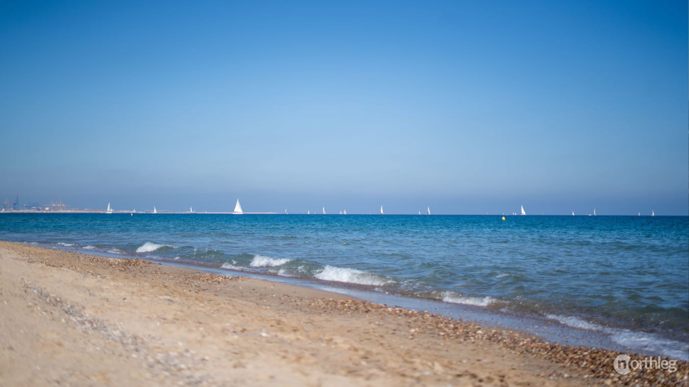 Sandy beach with pine trees and natural coastal landscape near Valencia