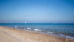 Sandy beach with pine trees and natural coastal landscape near Valencia