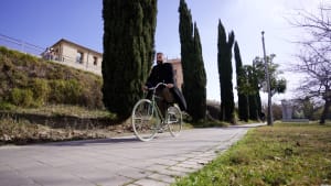 A cyclist riding a light green bicycle along a paved path lined with tall cypress trees and urban buildings in Valencia.