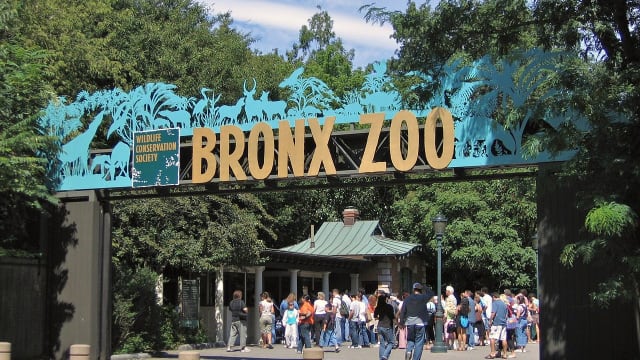 Bronx Zoo Entrance