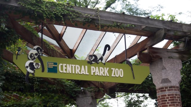 Central Park Zoo Sign