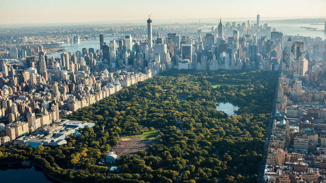 Central Park NYC