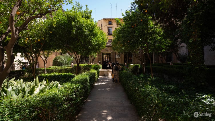 A sunlit courtyard with orange trees, neatly trimmed hedges, and a stone pathway leading to historic buildings in Valencia's La Lonja de la Seda.
