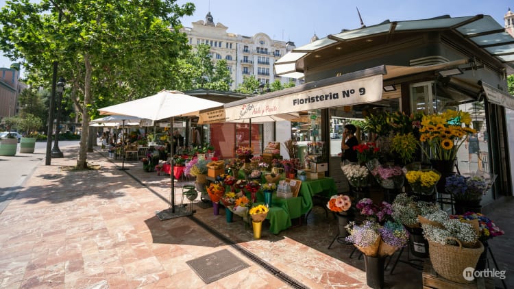 Outdoor flower market stalls with colorful bouquets, white umbrellas, and historic buildings in the background at Valencia's Town Hall plaza.
