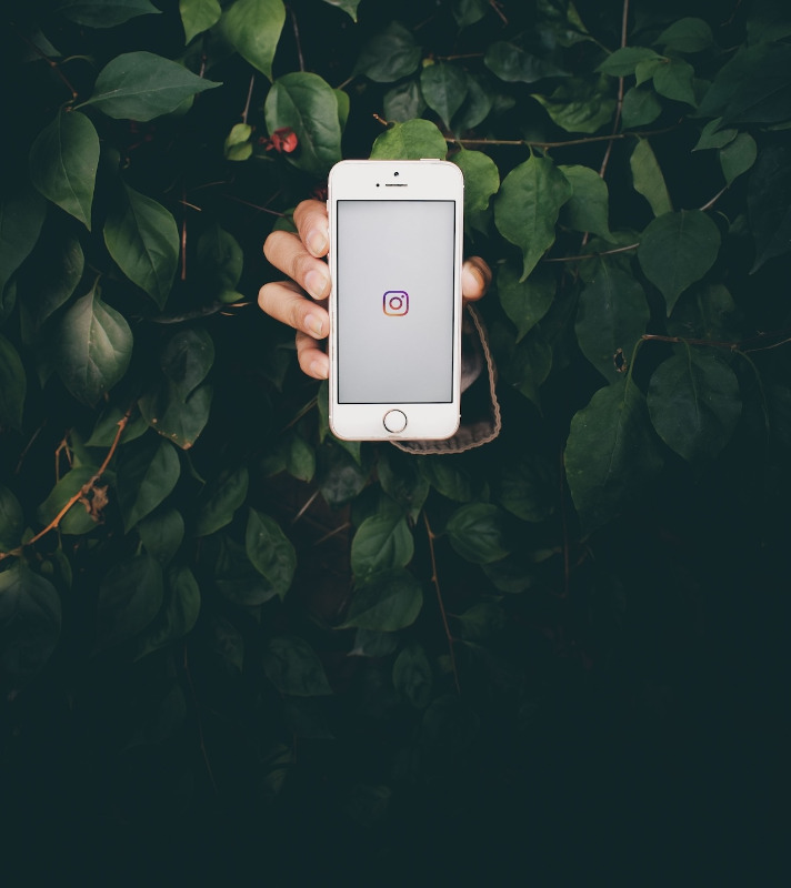 Instagram limits clickable links in feed posts, making it tricky to turn followers into paying clients. Here are six simple ways to get your audience off Instagram and onto your Attentive Wren storefront.