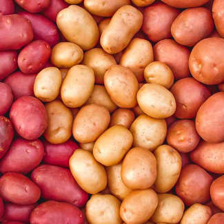 Eat Better Meals Meal Delivery