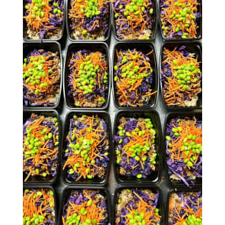 Eat Fresh Meal Delivery