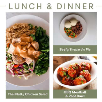 Tailored Bites Meal Delivery