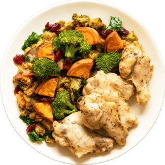 ActivMeals Meal Delivery