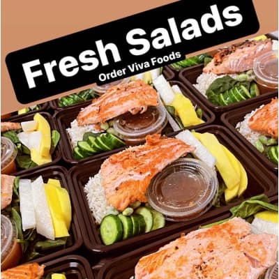Viva Foods Health Kitchen Meal Delivery
