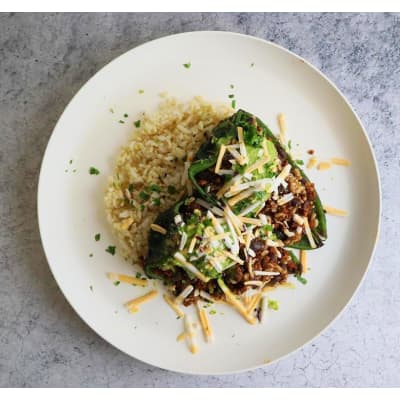 Fitchow Meal Delivery