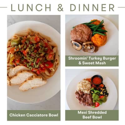 Tailored Bites Meal Delivery