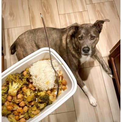 The Menu Meal Prep Meal Delivery