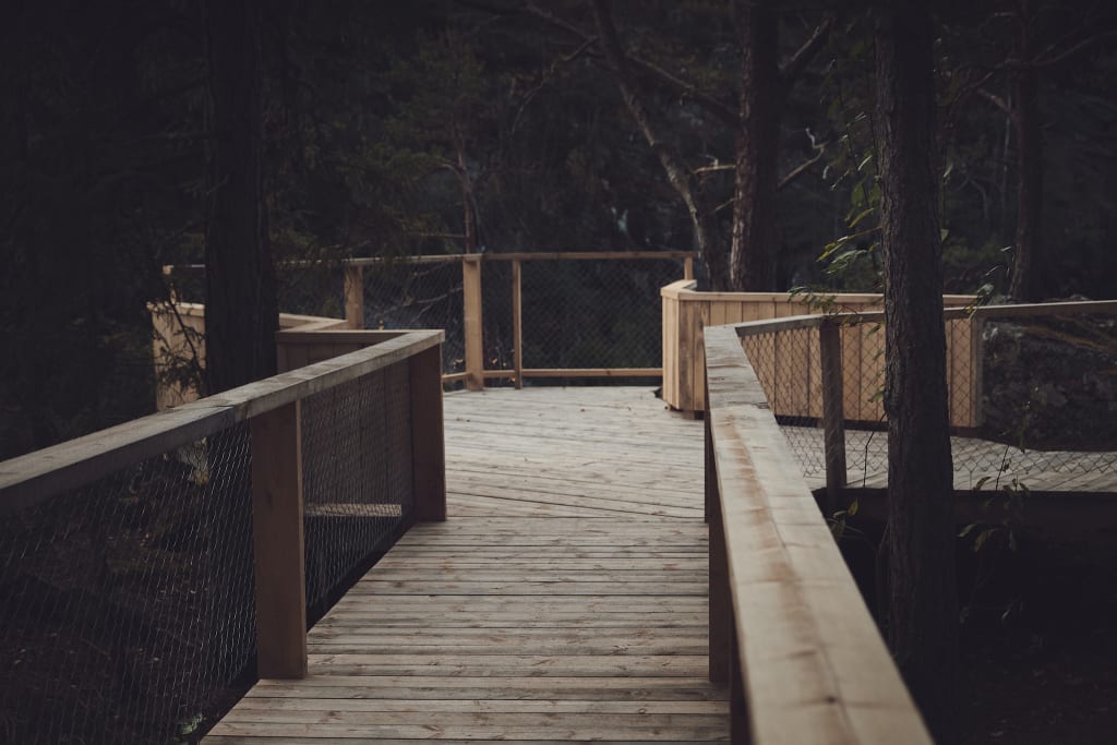 Rintala Eggertsson arkitekter, Okulus