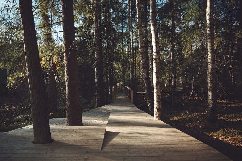 Rintala Eggertsson arkitekter, Okulus