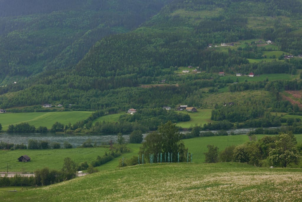 Gitte Dæhlin, Flokk