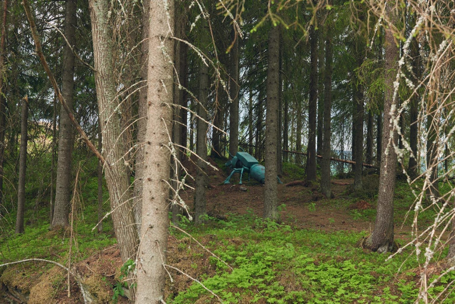 Erik Pirolt, M.A.U.R.