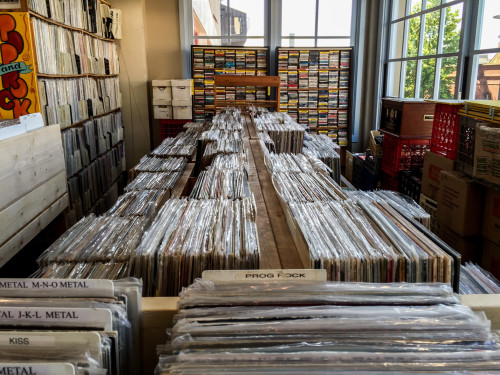 View of one of the racks in Holy Cow Records