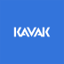 Kavak Stock