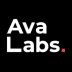 Ava Labs Stock