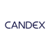 Candex Stock