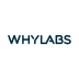 WhyLabs Stock