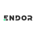 Endor Labs Stock