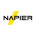 Napier AI Stock