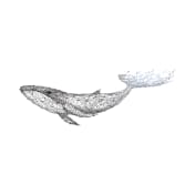 BlueWhale Bio Stock