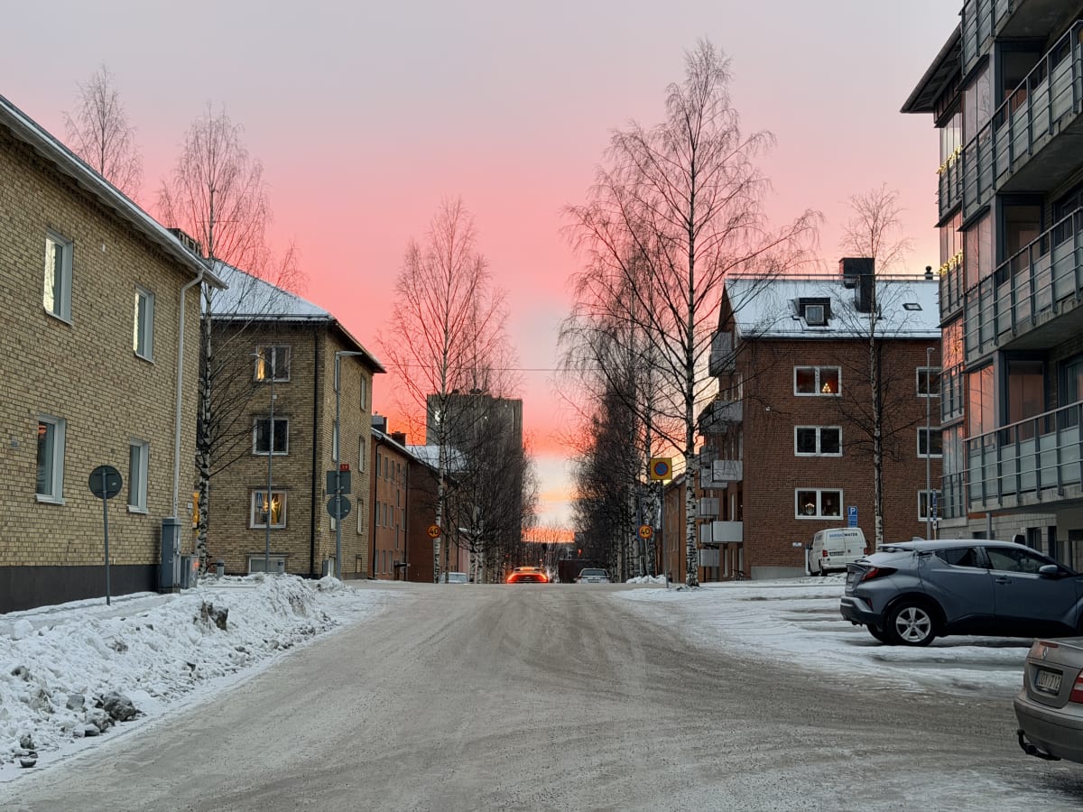En gata i ett bostadsområde under en vinterdag vid soluppgång eller solnedgång. Himlen är rosa och orange, vilket reflekteras på byggnadernas fönster och balkongglas. Gatan är täckt av snö och is. Det finns snöhögar längs vägkanten. Längs gatan står