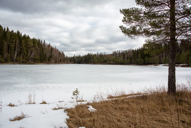 Bilden visar ett landskap med en isbelagd sjö omgiven av skog under en molnig himmel. I förgrunden till höger står en tall delvis beskuren. Markytan närmast sjön består av en blandning av snöfläckar och torrt, brunt gräs. Skogskanten på sjöns motsatt