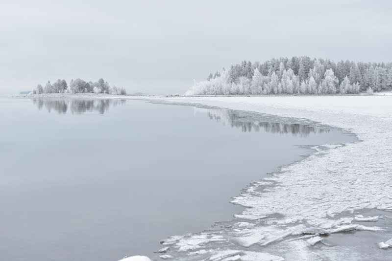 Bilden visar ett vinterlandskap med en stor vattenyta i förgrunden och ett skogsområde i bakgrunden. Vattnet, som reflekterar himlen och delvis också de frostbeklädda träden, är grått och har spridda isflak längs stranden i nederkanten av bilden. Str
