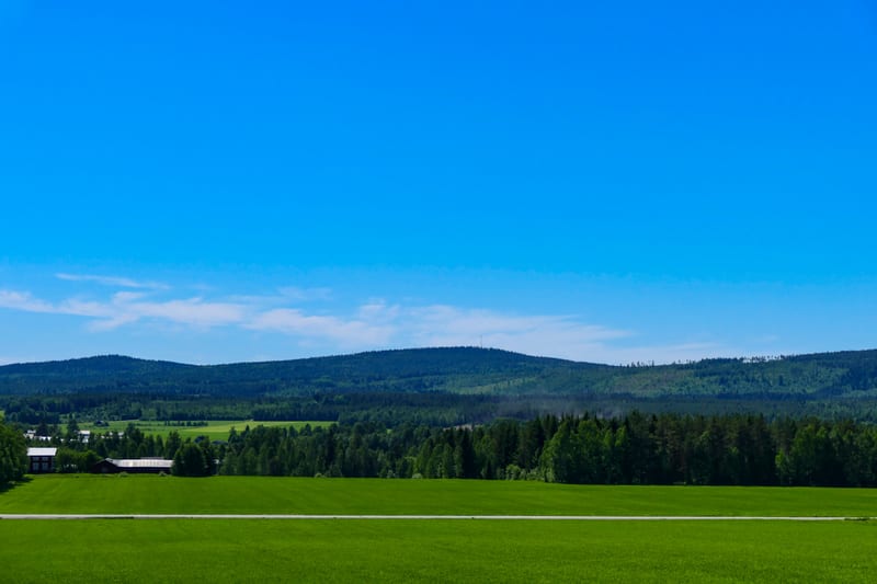 Snabbkollen: Väder, temadagar och en internationell händelse