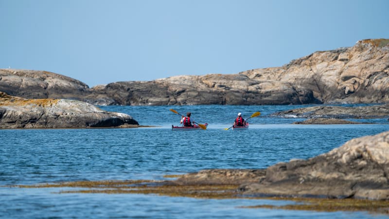 Bilden visar två personer som paddlar kajak i ett kustområde på en solig dag. Personerna sitter i varsin kajak, med ryggen mot betraktaren, och paddlar framåt. De bär båda flytväst. Vattnet är blått och ser lugnt ut. I bakgrunden och förgrunden syns klippiga stränder och öar, typiska för en skärgårdsmiljö. Klipporna är mestadels gråa med inslag av gulbrun vegetation på sina ställen. Mellan klipporna syns öppet vatten. Himlen är klarblå och utan moln.