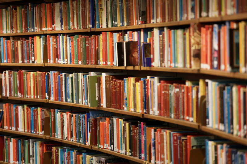 Bilden visar ett bibliotek eller en bokhylla fylld med böcker. Flera rader av böcker i olika färger som rött, blått, grönt, vitt och brunt är prydligt uppradade på trähyllor. Vissa böcker är tjockare än andra, och några har synliga titlar eller konstverk på ryggen, men dessa är inte tydligt läsbara. Belysningen verkar komma ovanifrån och skapar viss skuggning mellan hyllorna. Bakgrunden är oskarp, vilket betonar böckerna i förgrunden.