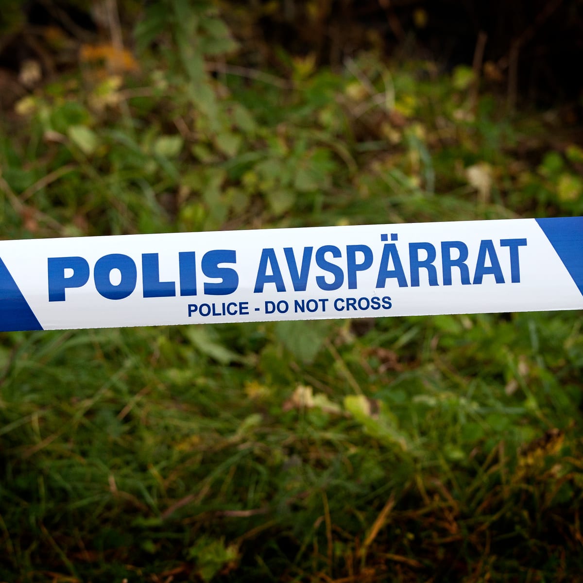 Bilden visar ett vitt avspärrningsband med texten "POLIS AVSPÄRRAT" i stora blå bokstäver samt undertill "POLICE - DO NOT CROSS" i mindre svarta bokstäver. Texten är centrerad på bandet. Bakgrunden består av grön vegetation, troligen gräs och buskar,