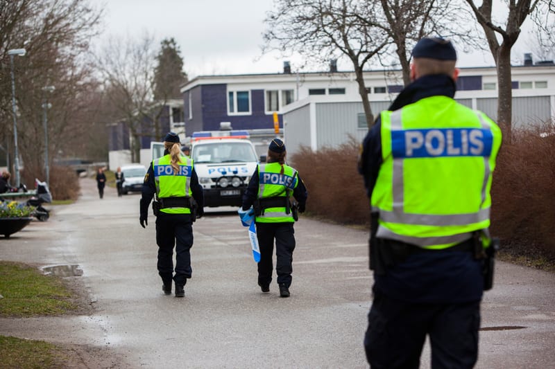 Kvinna misstänks för stöld och hemfridsbrott efter kattkonflikt