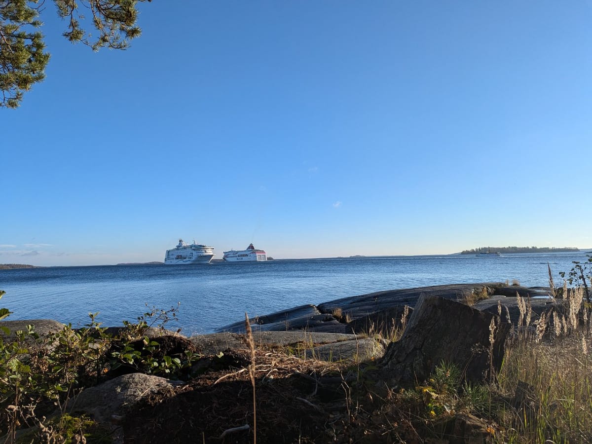 Bilden visar ett landskap med vatten i förgrunden och ett i det avlägsna. Två stora passagerarfartyg syns på vattnet, varav det ena är vitt och blått med text som verkar vara börjar på "SILJA" och det andra är vitt och rött med text som verkar ligga på rött fält med text som verkar vara "SALA LIND". Mellan fartygen och den närmare stranden syns en mindre båt i horisonten. Till höger i förgrunden finns klippor, gräs och växtlighet, inklusive en trädstubbe. Till vänster i förgrunden finns också växtlighet och grenar från ett träd sträcker sig in från bildens övre vänstra hörn. Himlen är klarblå.
