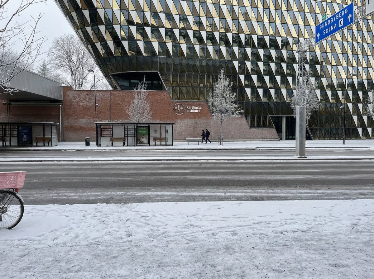 Bilden visar ett snötäckt gatumiljö under dagtid. I förgrunden syns en snöig trottoar och en del av en cykel med en rosa korg. Mitt i bilden löper en vägbana täckt av snö och slask. På andra sidan vägen, i mellangrunden, finns en trottoar med snö. Dä