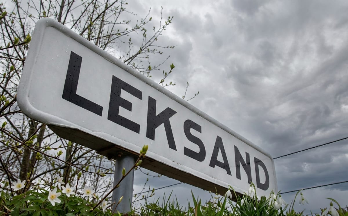 En bild tagen i grodperspektiv som visar en vit skylt med svarta bokstäver som formar ordet "LEKSAND". Skylten är fäst på en grå stolpe och har små vattendroppar på ytan. I förgrunden, runt skyltens bas, växer vitsippor och snödroppar bland grönt grä