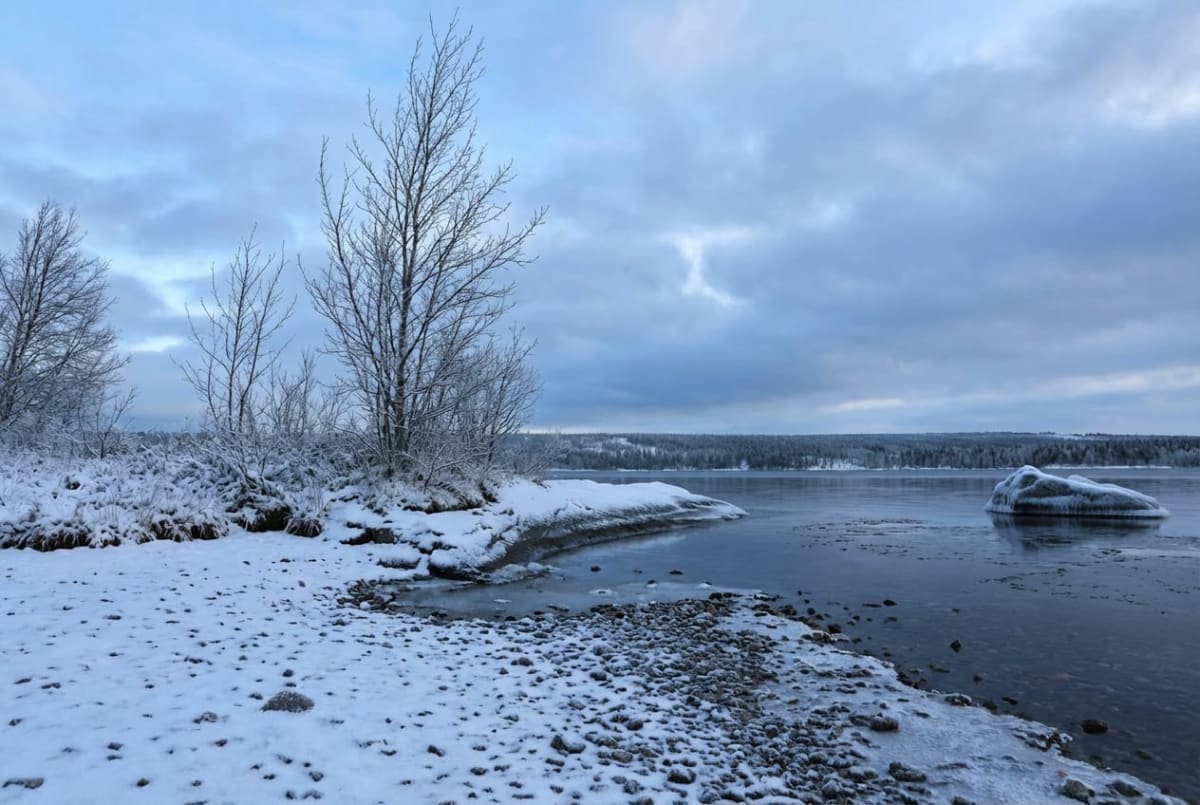 Bilden visar en vinterlandskapsvy över en sjö eller större vattendrag. I förgrunden syns snö som täcker marken och grenarna på flera kala träd och buskar. Närmast vattnet består marken av en stenig strandlinje som delvis är täckt av snö och is. Vattnet i sjön är delvis islagt, med öppet vatten och isflak synliga. Två större stenar, täckta med is och snö, sticker upp ur vattnet en bit ut. På andra sidan vattnet i horisonten syns en mörk bårds av snötäckta träd. Himlen är täckt av moln, som varierar i färg från ljusgrått till mörkare blågrått.