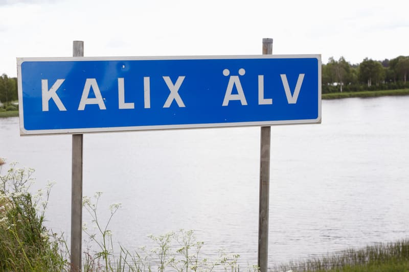 En blå skylt med vit text "KALIX ÄLV" står uppställd framför en vattenyta, sannolikt en älv, med grönskande träd längs den bortre strandkanten. Förgrunden består av gräs och vita blommor.