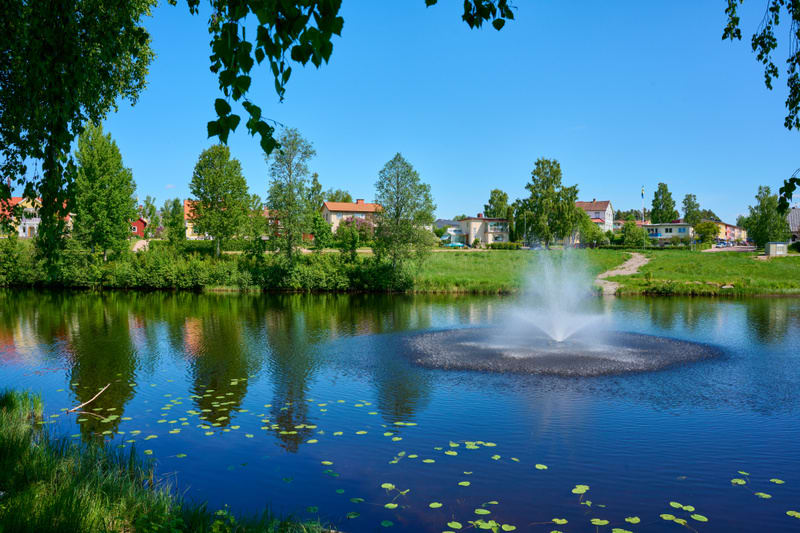 En bild som visar en sjö med en fontän i mitten och näckrosblad på ytan. I bakgrunden syns grönska, träd och bostadshus under en klarblå himmel. Ett hörn av bilden visar överhängande gröna blad.
