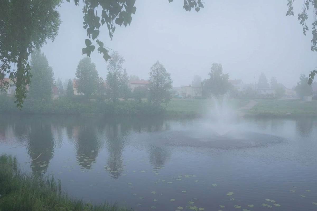 En bild tagen utomhus under en dimmig dag som visar en sjö eller större damm med en fontän i mitten. Runt sjön syns grön växtlighet och i bakgrunden skymtar byggnader eller hus. Lövverk är synligt i förgrunden och upptill i bilden.