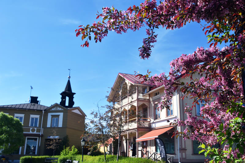 En bild visar byggnader med detaljerade fasader och en tydligt blå himmel i bakgrunden. I förgrunden och upptill i bilden syns grenar med rosa blommor och rödlila löv som ramar in vyn. Marken är grön med gräs och buskage. En svart spira med vindflöje