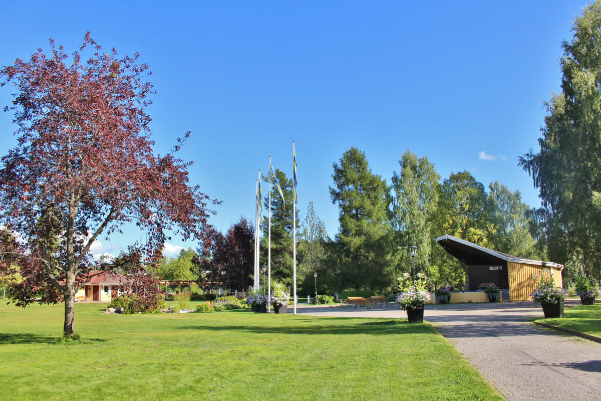 En bild visar en grön gräsmatta i förgrunden med en grusgång som leder mot en scenbyggnad. Flera träd med röda och gröna löv ramar in scenen. Tre flaggstänger med flaggor står uppställda i mitten av bilden. Badhusparken i Piteå.