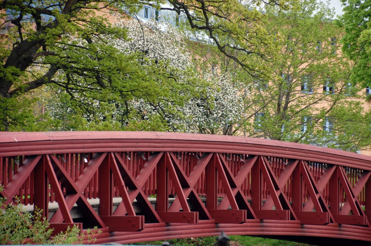 En röd träbro med en intrikat mönstrad konstruktion syns i förgrunden. Bakom bron finns grönskande träd, varav några har vita blommor, samt en ljusgul byggnad med flera fönster i bakgrunden.