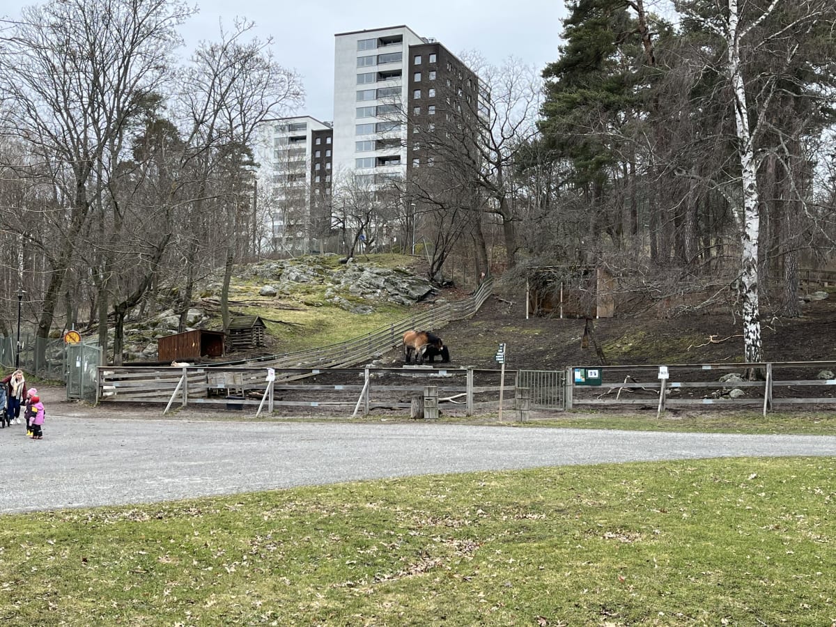 Lös hund bet barn i Hagaparken i Solna