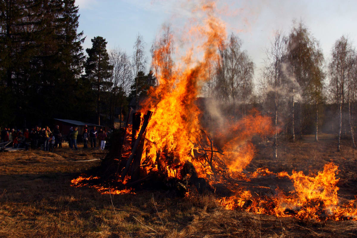 En stor majbrasa brinner i förgrunden med lågor som sträcker sig högt upp, omgiven av människor som betraktar elden. Gräs och torra kvistar syns på marken, och i bakgrunden finns träd och en ljusblå himmel. Rök stiger upp från elden.
